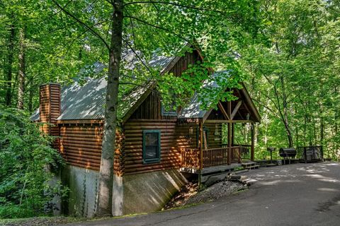 Explore Forest Cabin Rentals: Advice, Facts & Resources