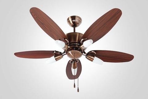 Ceiling Fans Guide: Explore Features, Tips & Insights