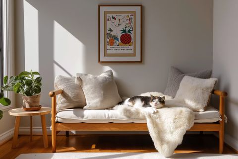Lounge Bench Variations Guide: Explore Style Insights